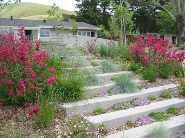 Contemporary Landscape by Huettl Landscape Architecture