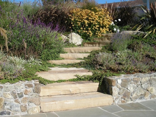 Plant Your Steps for a Great Garden Look