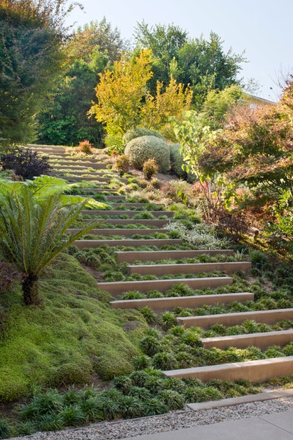 Plant Your Steps for a Great Garden Look