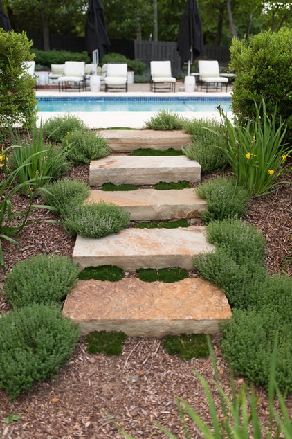 Plant Your Steps for a Great Garden Look