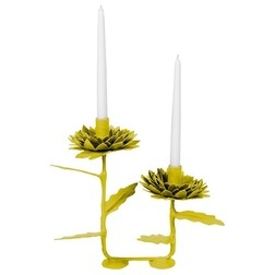 Eclectic Candles And Candle Holders by Candelabra