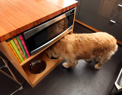 Pet-Friendly Design: Making Room for the Dog Dish