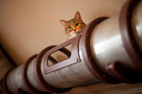 Geek Lab: How to Build a Steampunk Cat Transit System