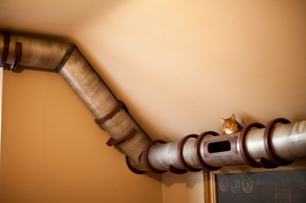 Geek Lab: How to Build a Steampunk Cat Transit System