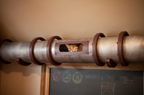 Geek Lab: How to Build a Steampunk Cat Transit System