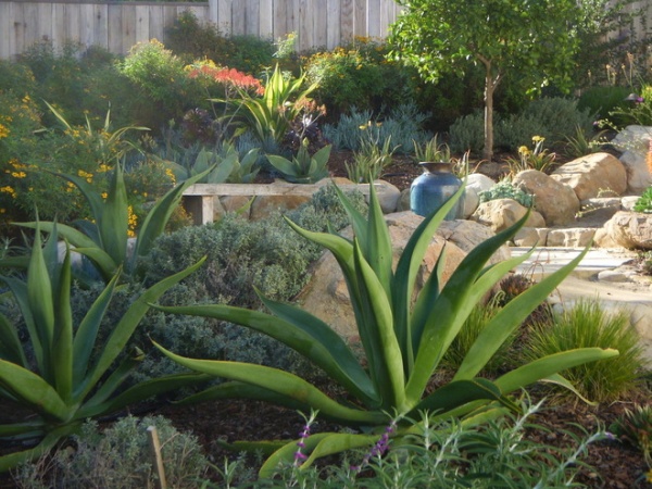 Mediterranean Landscape by Pat Brodie Landscape Design