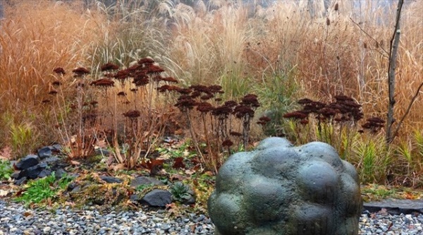 Autumn naturalistic garden