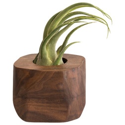 Modern Indoor Pots And Planters by Few BIts