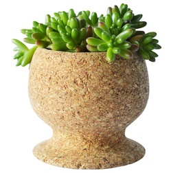 Modern Indoor Pots And Planters by Melanie Abrantes Designs