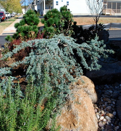 Contemporary Landscape by Jay Sifford Garden Design