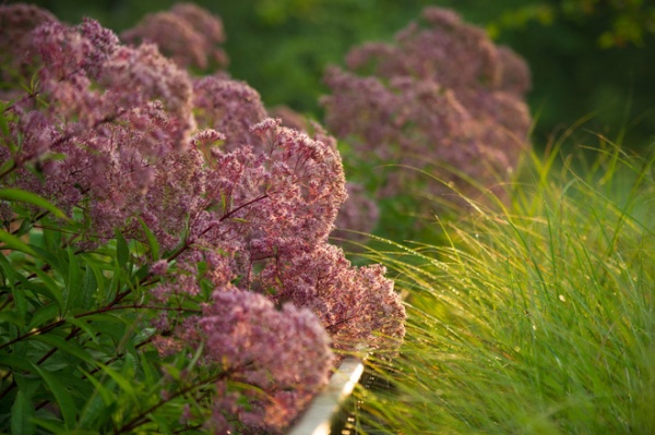 Traditional Landscape by The LaurelRock Company