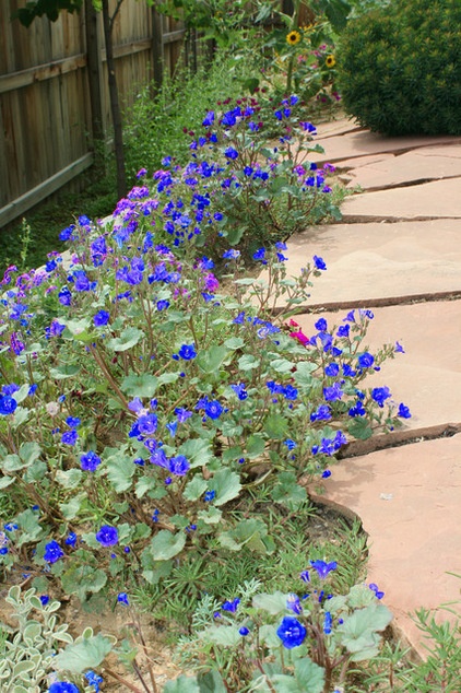 Landscape Ground covers on sloped wall