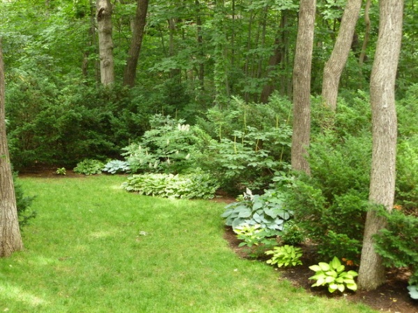 Traditional Landscape by Richard Clayton Barrett