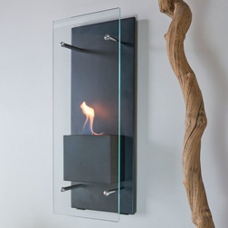 Contemporary Fireplaces by Bluworld HOMelements