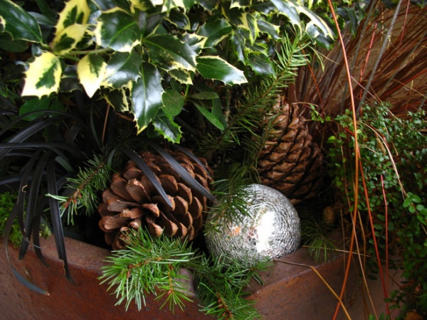 Yes, You Can Enjoy Your Yard in December! Here's How