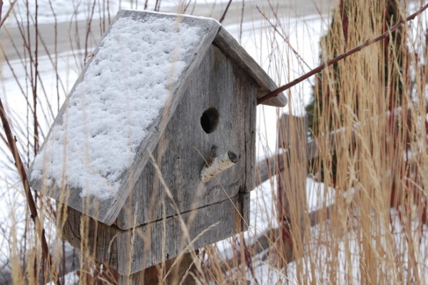 Yes, You Can Enjoy Your Yard in December! Here's How