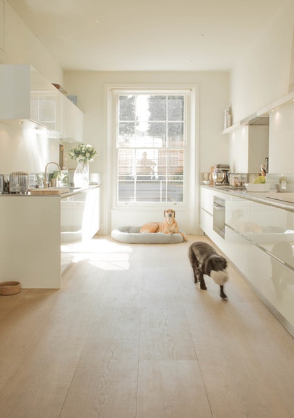 Transitional Kitchen by Nash Baker Architects