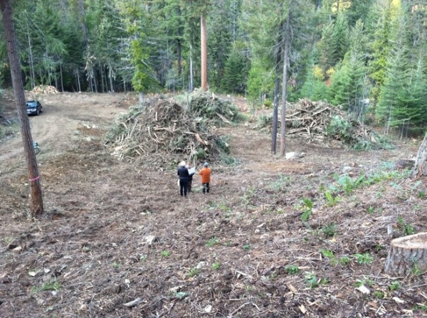 Going Off the Grid In the Remote Seattle Wilderness