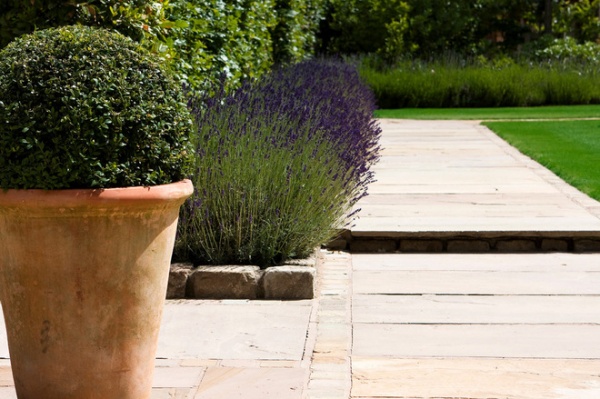 Traditional by Barnes Walker Ltd - Landscape Architects