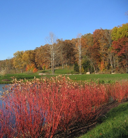 Traditional Landscape by MTR Landscape Architects