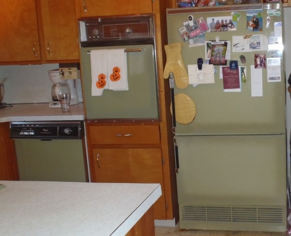 Transitional 60's Kitchen Remodel