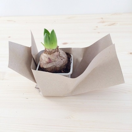 DIY: Make a Sweet Gift of Future Blooms