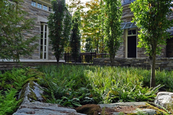 Contemporary Landscape by Shepard Butler Landscape Architecture