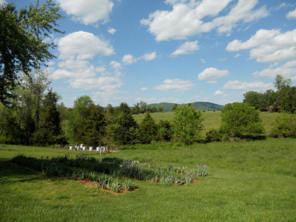 Traditional Landscape by Paintbox Garden