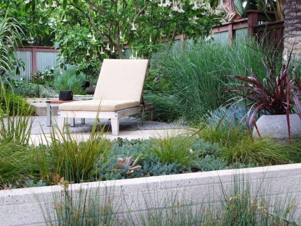 Contemporary Landscape by debora carl landscape design