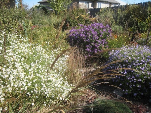 Traditional Landscape by Benjamin Vogt / Monarch Gardens