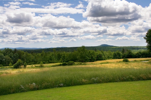 Traditional Landscape by Matthew Cunningham Landscape Design LLC