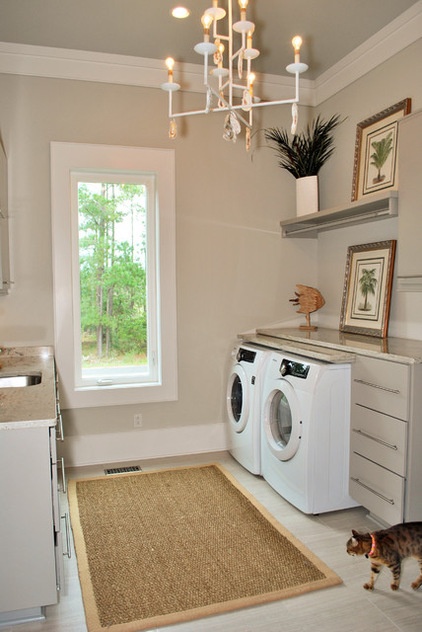 Cat laundry room