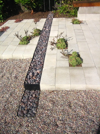 Contemporary Landscape by Terra Ferma Landscapes