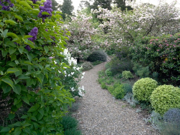 Eclectic Landscape by Arthur Lathouris Garden Designer