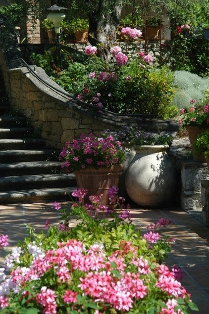 Mediterranean Landscape by Atelier Nelumbo Garden Design