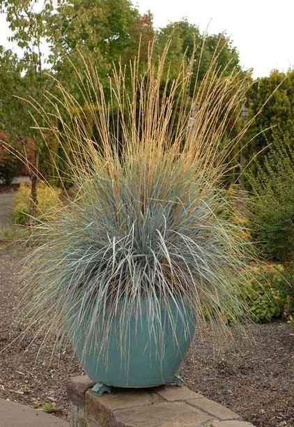 Traditional Landscape by Missouri Botanical Garden