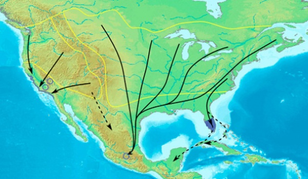 Monarch butterfly migration in the United States