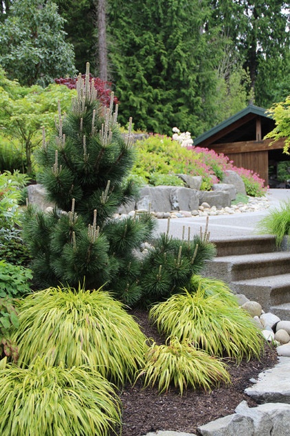 Traditional Landscape by Bliss Garden Design