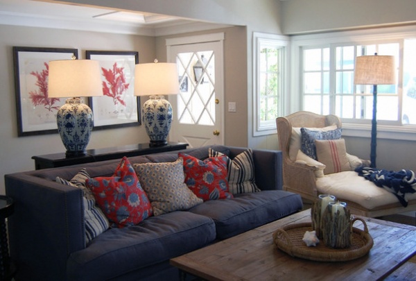 Transitional Living Room by Dana Nichols