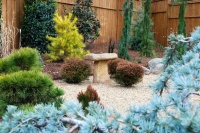 Designing With Conifers: Personality and Form in the Garden