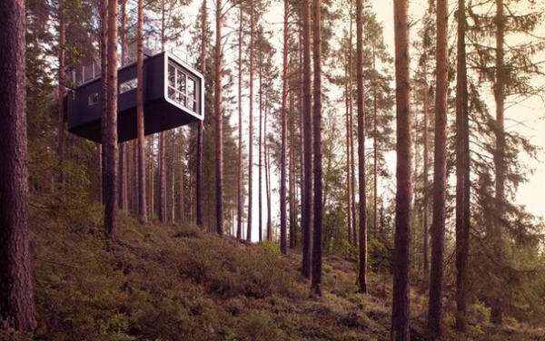 Treehouses