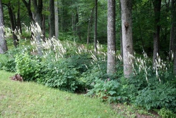 Landscape by Ellen Sousa/Turkey Hill Brook Farm