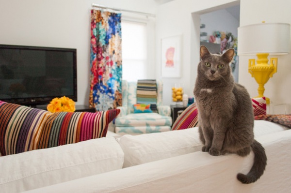 Eclectic Living Room by Angela Flournoy