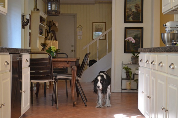 Traditional Kitchen by Sarah Greenman