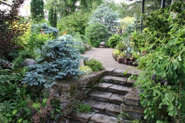 Traditional Landscape by Mosaic Gardens