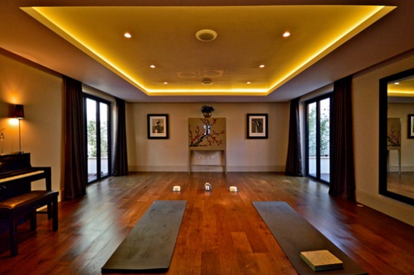 Contemporary Home Gym by Zodiac Design