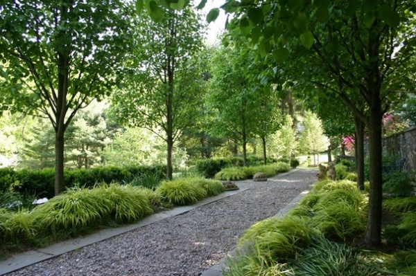 Contemporary Landscape by Wallace Landscape Associates