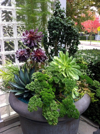 Contemporary Landscape by Glenna Partridge Garden Design