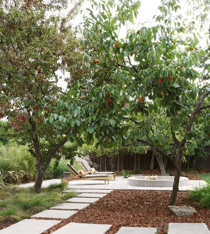 Contemporary Patio by Arterra Landscape Architects