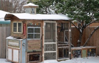 Quirky Meets Practical in a Dallas Chicken Coop